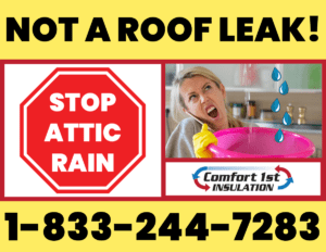 Stop Attic Rain