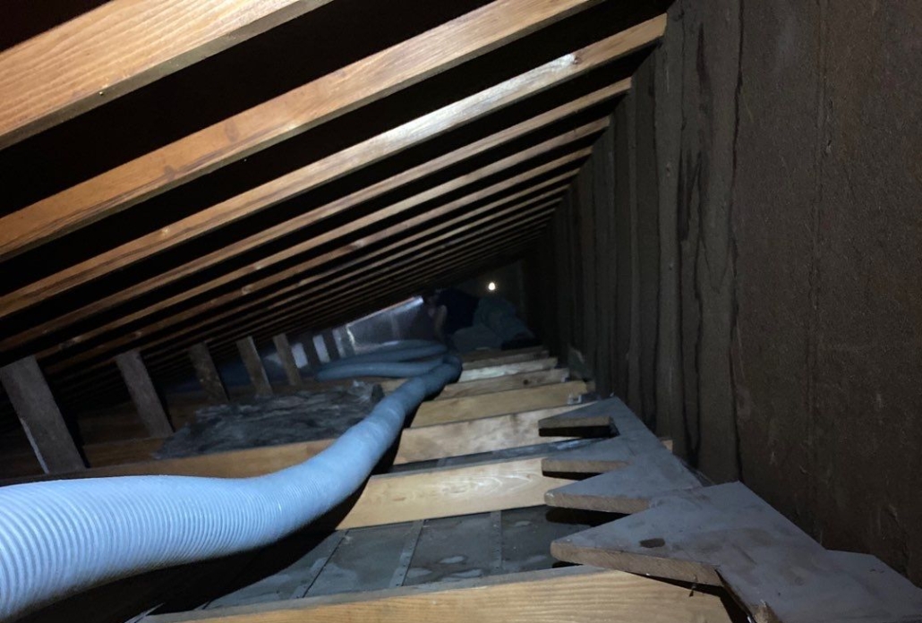 Insulation Removal