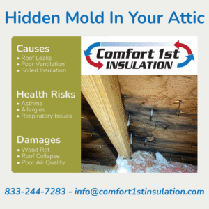 Attic Mold