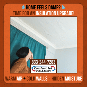 Improve Damp Home With Insulation